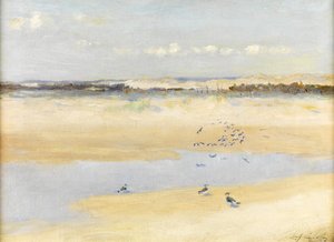 Lapwings by the Sea