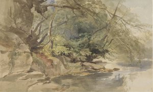 View in Stapleton Wood, near Bristol by William James Muller