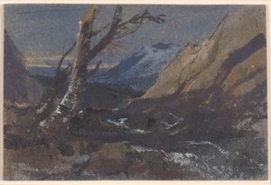 Study of Trees by a Mountain Stream by William James Muller