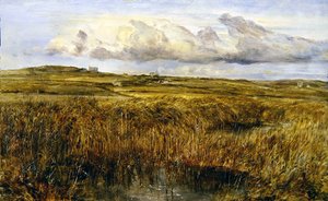 Rhoscolyn, Anglesey