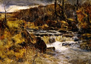 Trout Stream in Wales