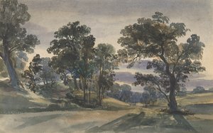 A Parkland View at Dusk