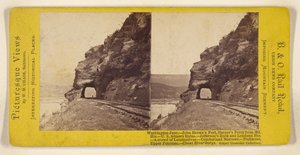 Piedmont, Upper Potomac by William M. Chase