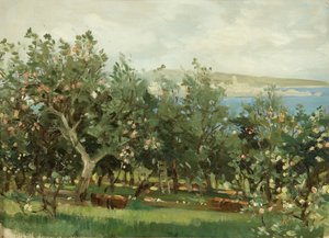 An Apple Orchard