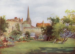 Miltons Mulberry Tree in the Fellows Garden, Christs College