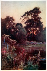 Worcester College Garden by William Matthison