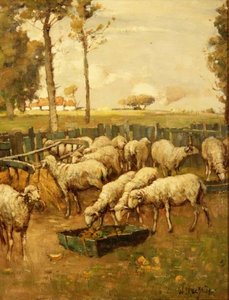 The Sheep Fold by William McBride