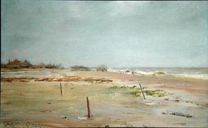 Beach Scene