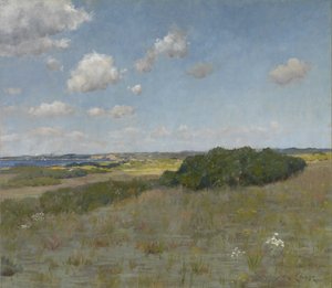 Sunlight and Shadow, Shinnecock Hills