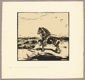 The Shire Horse