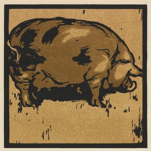 The Learned Pig by William Nicholson