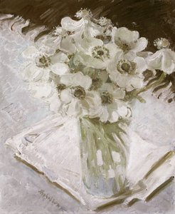 White Anemones