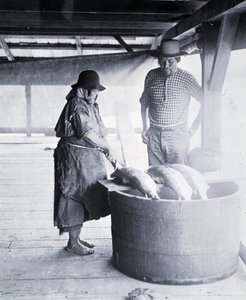 Indian Salmon Cleaner, near New Westminster, British Columbia (Province of Canada)