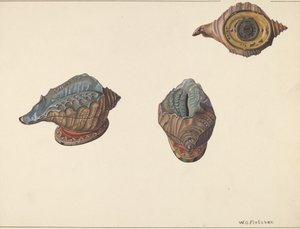 Shell Out Bank by William O. Fletcher