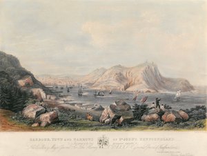 Harbour, Town and Narrows of St John