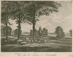 View from the Terrace of Strawberry Hill, London