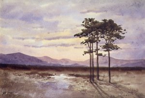Sunset, County Sligo
