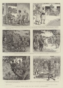 A Royal Tiger Hunt, or, the Perfect Arrangement