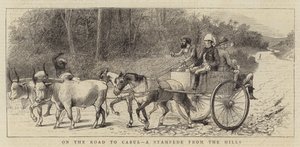 On the Road to Cabul, a Stampede from the Hills