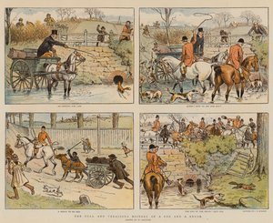 The Full and Veracious History of a Fox and a Brush