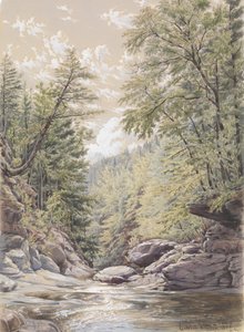 Catskill Clove in Palingsville by William Rickarby Miller