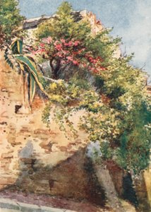 A Street Corner, Cagnes