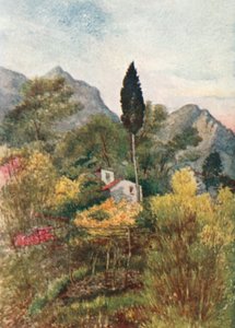 In the Borrigo Valley, Mentone