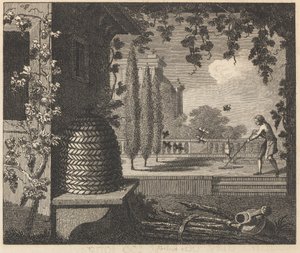 The Degenerate Bees by William Skelton