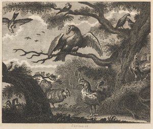 The Vulture, the Sparrow, and other Birds by William Skelton