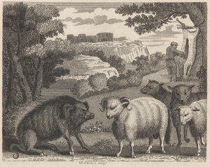 The Wild Boar and the Ram