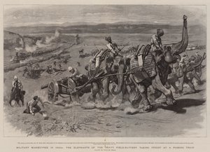 Military Manoeuvres in India, the Elephants of the Heavy Field-Battery taking Fright at a Passing Train by William Small