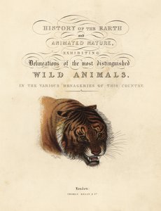 Calligraphic Title Page with Vignette of Tiger