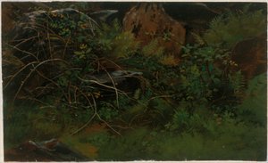 Study from Nature by William Stanley Haseltine
