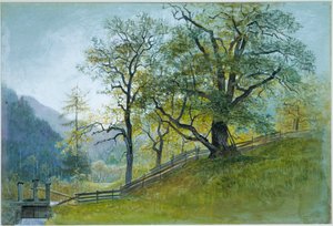 Vahrn in Tyrol near Brixen by William Stanley Haseltine