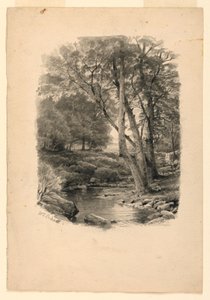 Pool in the Woods