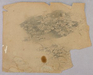 Study of Foliage by William Trost Richards
