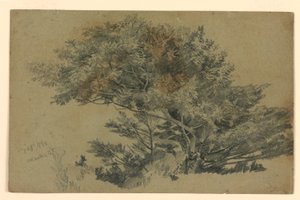 Study of Foliage by William Trost Richards