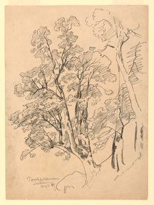 Study of Foliage, Trachselwald, Bern, Switzerland by William Trost Richards