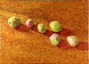 Still Life, Black Worcesters by William Wilkins