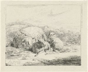 Lying Sheep with Two Lambs