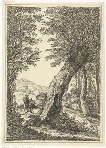 Willow Tree by William Young Ottley