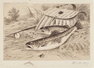 A Good Catch