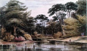 In Virginia by William the Younger MacIlvaine