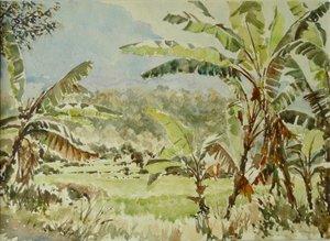 740 Banana Trees, Ramboda by Wilson Clive