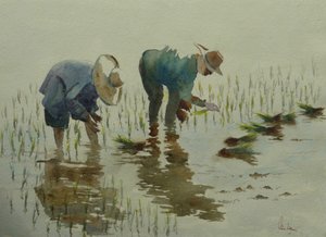 Planting rice by Wilson Clive