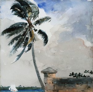 A Tropical Breeze, Nassau