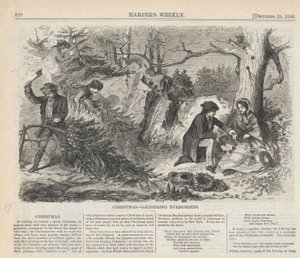 Christmas-Gathering Evergreens, from Harper