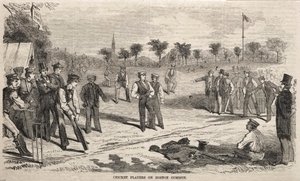 Cricket Players on Boston Common