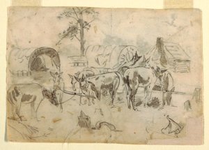 Resting Mules Tethered to Wagons, 1862