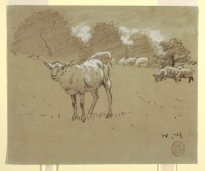 Sheep Grazing in a Field, ca. 1875–78 by Winslow Homer